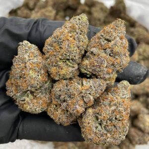 Zelonade indoors 🍊